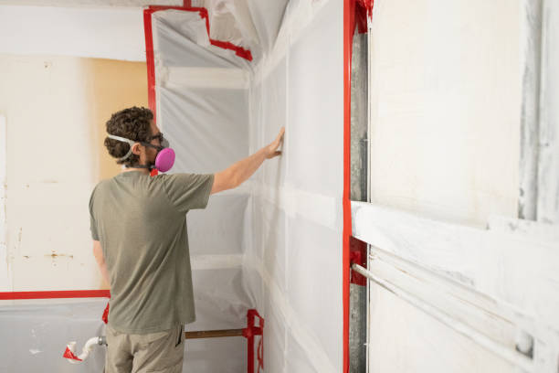 Best Mold Removal for HVAC Installations  in Lewistown, IL