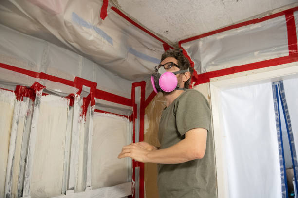 Best HVAC Mold Inspection and Cleaning  in Lewistown, IL