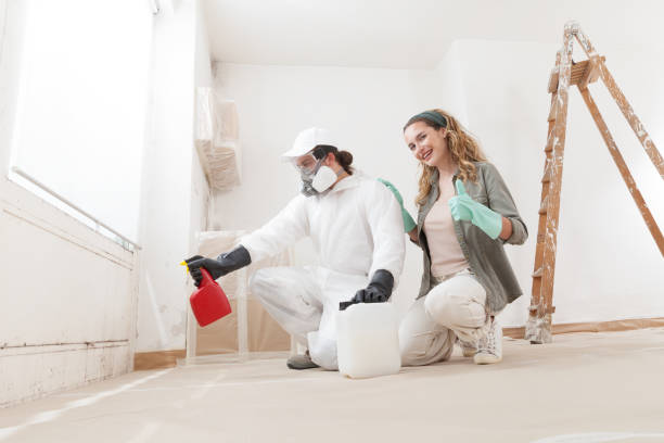 Best Attic Mold Removal  in Lewistown, IL